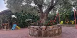 foto-esterno